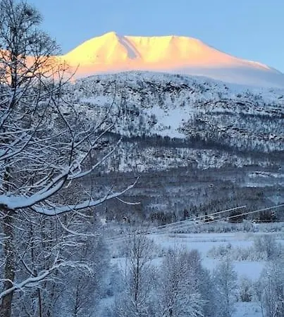 Apartment Flott Midt Blant Lyngsalpene!