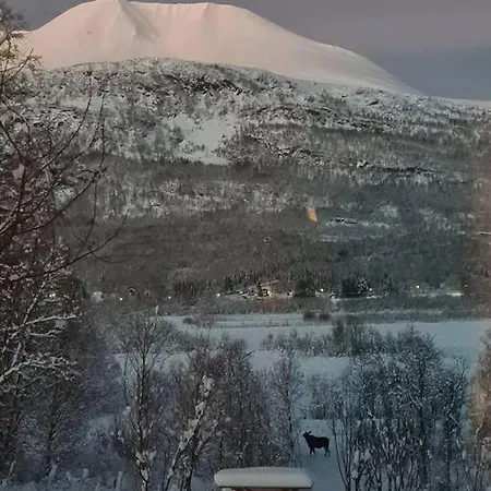 Flott Midt Blant Lyngsalpene! Lyngseidet