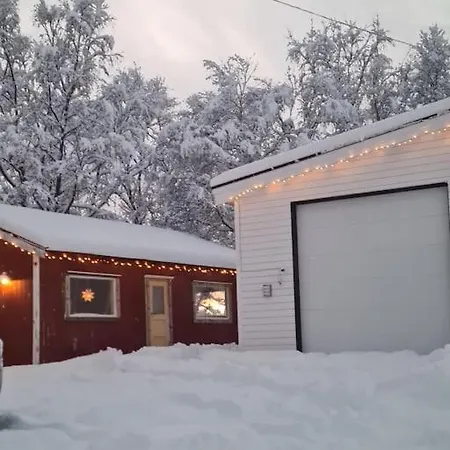 Flott Midt Blant Lyngsalpene!