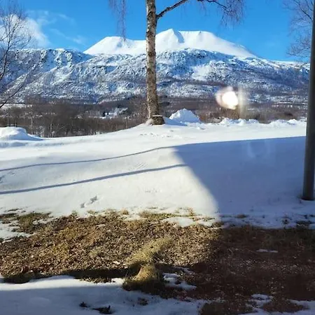 Flott Midt Blant Lyngsalpene! * Lyngseidet
