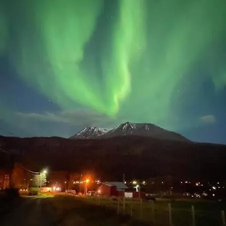 Flott Midt Blant Lyngsalpene! Lyngseidet