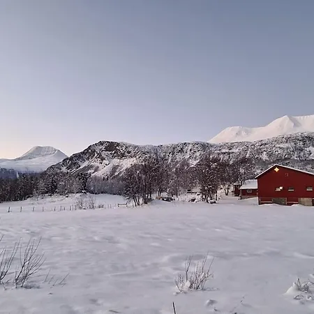 Flott Midt Blant Lyngsalpene!