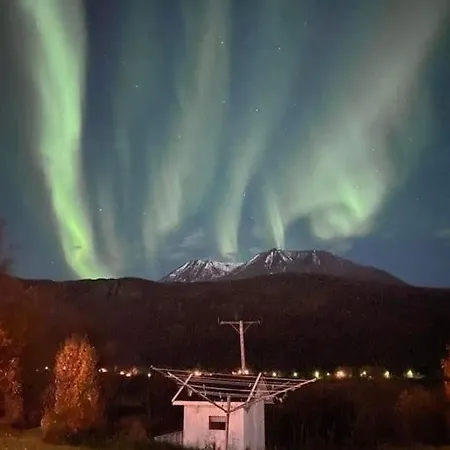 Flott Midt Blant Lyngsalpene! * Lyngseidet
