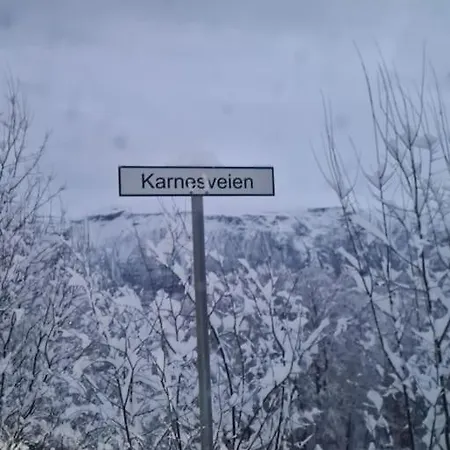 Flott Midt Blant Lyngsalpene!