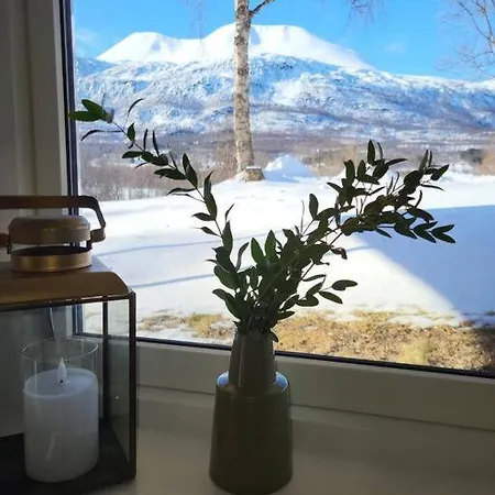 Flott Midt Blant Lyngsalpene!