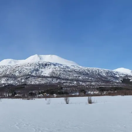 Flott Midt Blant Lyngsalpene! Apartment Lyngseidet