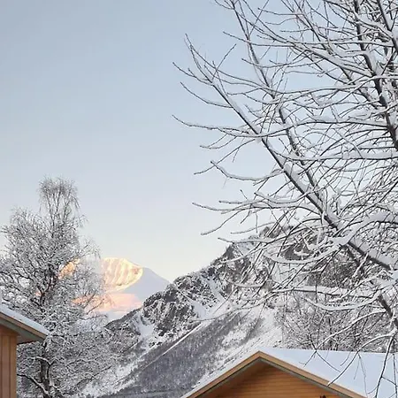 Flott Midt Blant Lyngsalpene! *